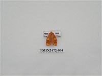 藏品(三色豔苔蛾)的圖片